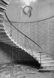 The Stairs (Documentary) (1950)