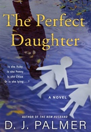 The Perfect Daughter (Dj Palmer)