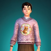 Cat Sweater