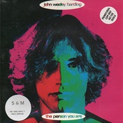 The Person You Are - John Wesley Harding