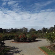 Victoria Rose Garden