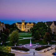 Saint Thomas University