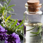 Lavender Essential Oil
