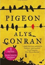 Pigeon (Alys Conran)