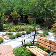 Gardens at the Springs Preserve