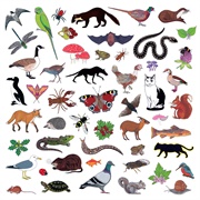 Island of Noise (Modern Nature, 2021)