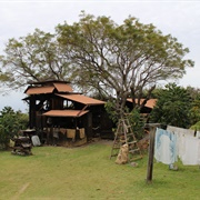 Kona Coffee Living History