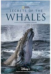 Secrets of the Whales (2021)