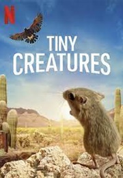 Tiny Creatures (2020)