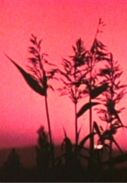 Harvest (Ballard) (1967)