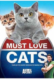 Must Love Cats (2011)