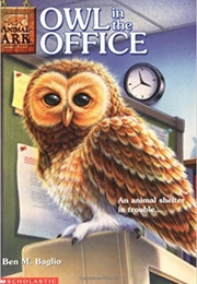 Owl in the Office (Ben M. Baglio)