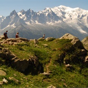 Trek the Tour Du Mont Blanc Trail