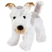Fox Terrier