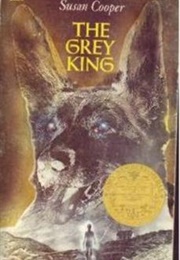 The Grey King (Susan Cooper)