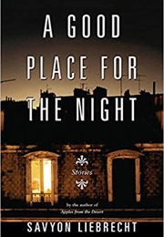 A Good Place for the Night (Savyon Liebrecht)