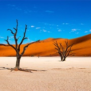 Climb the Ancient Dunes of the Namib Desert
