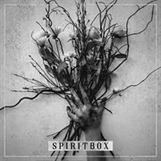 Spiritbox Self Titled