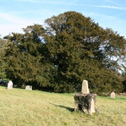 The Ashbrittle Yew, Somerset, UK
