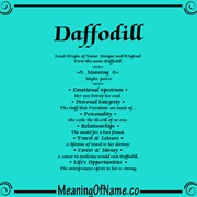 Daffodil