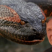 Giant Anaconda - Anaconda