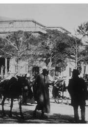 Le Caire : Place De L'opéra (1897)