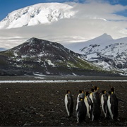 Heard and Mcdonald Islands (Australia Territory)
