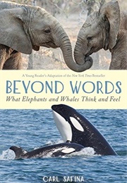 Beyond Words: What Elephants and Whales Think and Feel (Carl Safina)