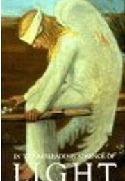 In the Misleading Absence of Light (Joanne Gerber)