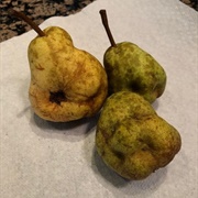 Ugly Bartlett Pear