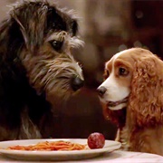 Lady and the Tramp