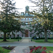 Mount Mercy University