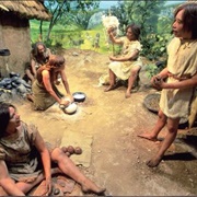 L'homme Invente L'agriculture Et Domestique Les Animaux (-8000)