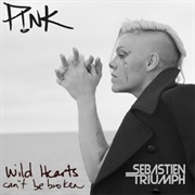 Wild Hearts Can't Be Broken - P!Nk