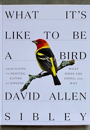 What It&#39;s Like to Be a Bird (David Allen Sibley)