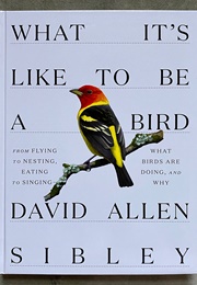 What It's Like to Be a Bird (David Allen Sibley)