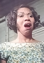 The Killing of Emmett Till (Denn Pietro) (2020)