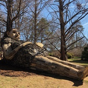 Bernheim Forest Giants