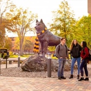 Michigan Technological University