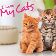 I Love My Cats