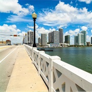 Venetian Causeway Bridge