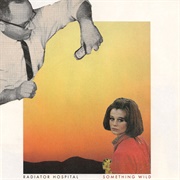 Radiator Hospital - Something Wild