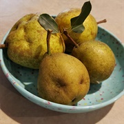 Ugly Asian Pear