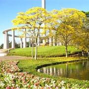 Solo Sagrado De Guarapiranga