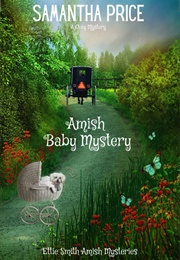 Amish Baby Mystery (Samantha Price)