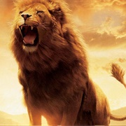 Aslan (The Chronicles of Narnia: The Lion, the Witch, and the Wardrobe, 2005)