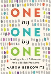 One by One: Making Small Differences Amid a Billion Problems (Berkowitz, Aaron)