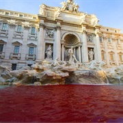 Red Fontana  Di Trevi