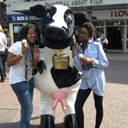 Ben and Jerry's Costume