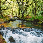 Golitha Falls, Cornwall, England